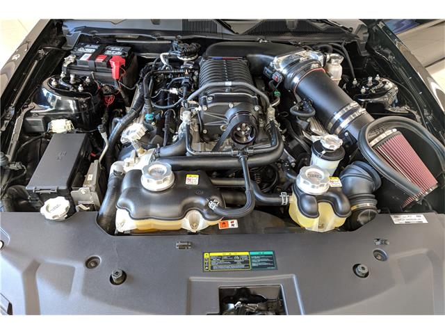 2010 Ford SHELBY GT500 SUPER SNAKE (CC-1048077) for sale in Scottsdale, Arizona