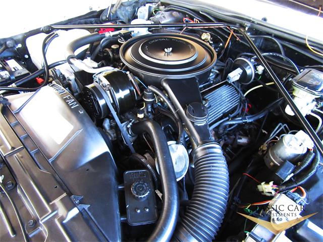 1985 Cadillac Seville (CC-1048350) for sale in Scottsdale, Arizona