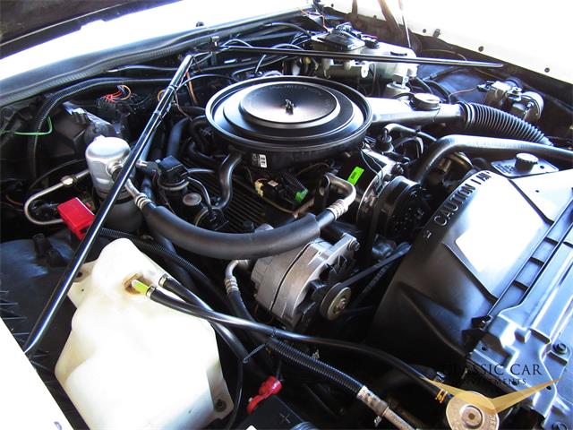 1985 Cadillac Seville (CC-1048350) for sale in Scottsdale, Arizona