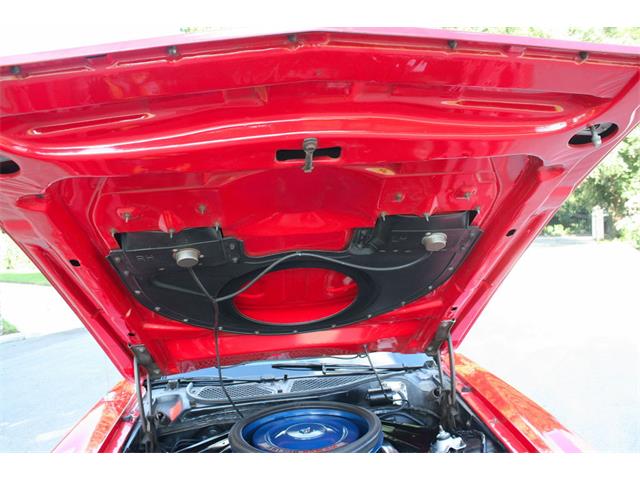 1972 Ford Mustang (CC-1048352) for sale in lakeland, Florida