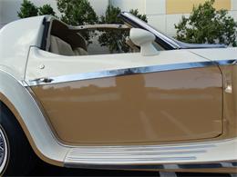1980 Phillips Berlina (CC-1049074) for sale in Coral Springs, Florida