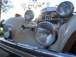 1980 Phillips Berlina (CC-1049074) for sale in Coral Springs, Florida