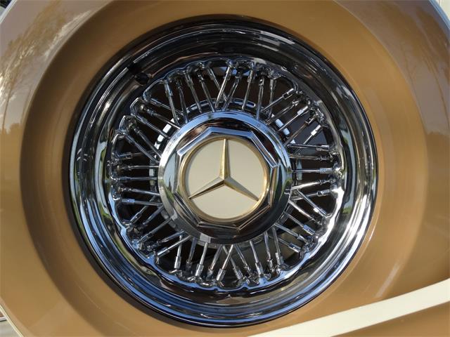 1980 Phillips Berlina (CC-1049074) for sale in Coral Springs, Florida