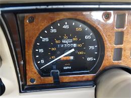 1980 Phillips Berlina (CC-1049074) for sale in Coral Springs, Florida