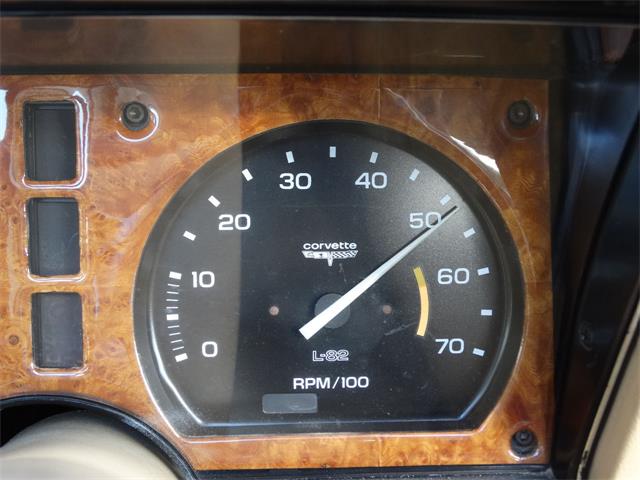 1980 Phillips Berlina (CC-1049074) for sale in Coral Springs, Florida