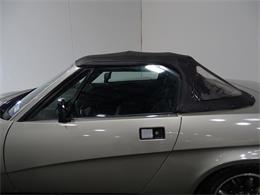 1980 Triumph TR8 (CC-1051195) for sale in Houston, Texas