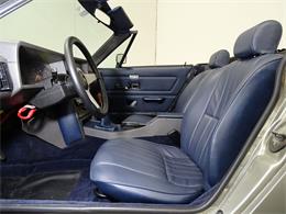 1980 Triumph TR8 (CC-1051195) for sale in Houston, Texas