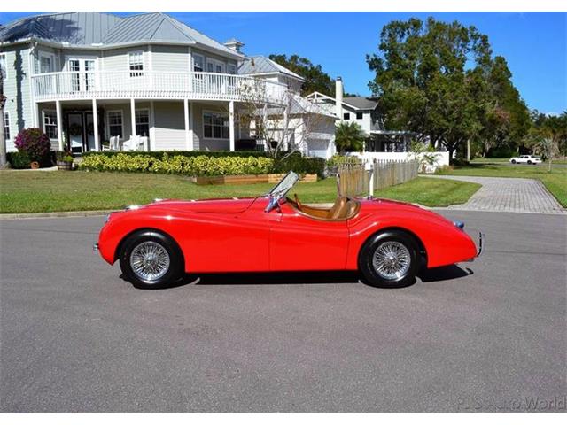 1952 Jaguar XK (CC-1051237) for sale in Clearwater, Florida