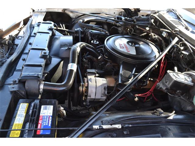 1973 Oldsmobile 442 (CC-1052340) for sale in Englewood, Florida