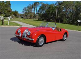 1952 Jaguar XK (CC-1052595) for sale in Clearwater, Florida