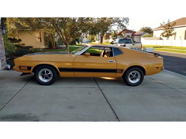 1973 Ford Mustang Mach 1 (CC-1053170) for sale in New Port Richey, Florida