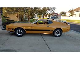 1973 Ford Mustang Mach 1 (CC-1053170) for sale in New Port Richey, Florida