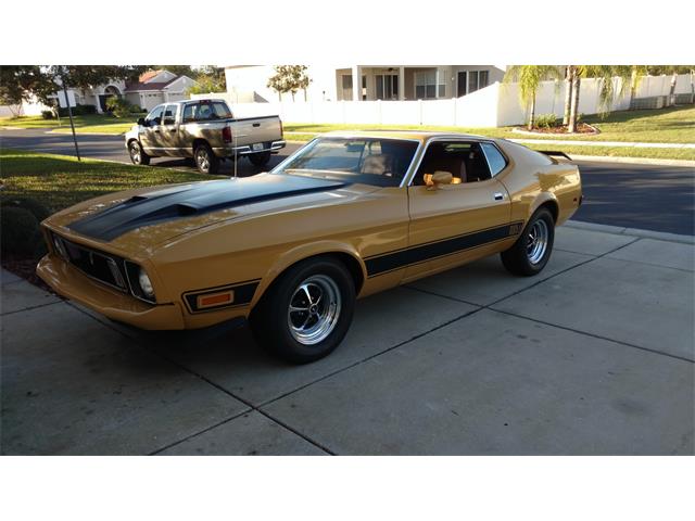 1973 Ford Mustang Mach 1 (CC-1053170) for sale in New Port Richey, Florida