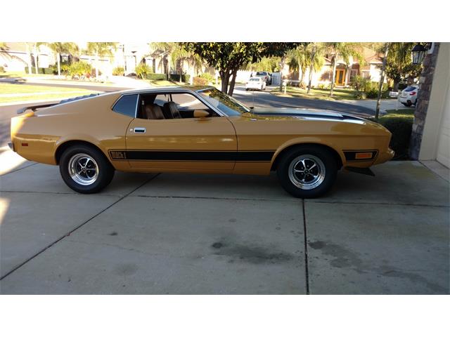 1973 Ford Mustang Mach 1 (CC-1053170) for sale in New Port Richey, Florida