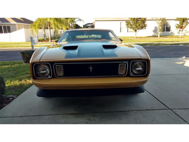 1973 Ford Mustang Mach 1 (CC-1053170) for sale in New Port Richey, Florida