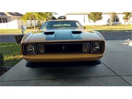 1973 Ford Mustang Mach 1 (CC-1053170) for sale in New Port Richey, Florida