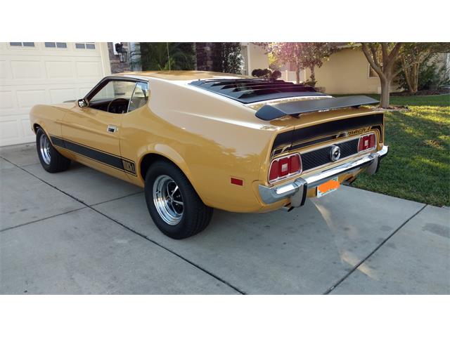 1973 Ford Mustang Mach 1 (CC-1053170) for sale in New Port Richey, Florida