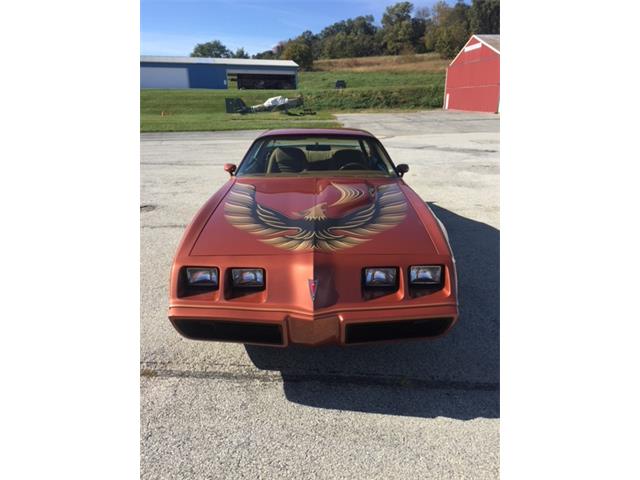 1980 Pontiac Firebird Trans Am (CC-1053243) for sale in Downingtown , Pennsylvania