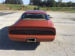 1980 Pontiac Firebird Trans Am (CC-1053243) for sale in Downingtown , Pennsylvania