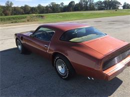 1980 Pontiac Firebird Trans Am (CC-1053243) for sale in Downingtown , Pennsylvania
