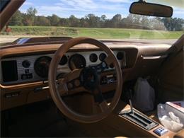 1980 Pontiac Firebird Trans Am (CC-1053243) for sale in Downingtown , Pennsylvania