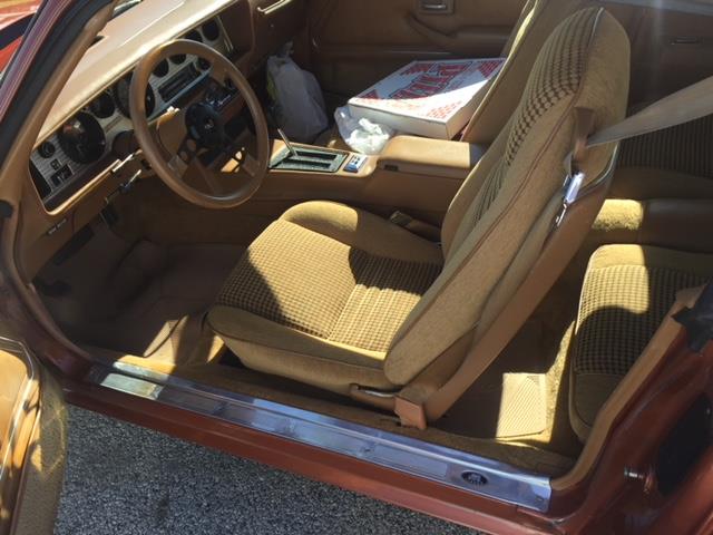 1980 Pontiac Firebird Trans Am (CC-1053243) for sale in Downingtown , Pennsylvania