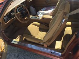 1980 Pontiac Firebird Trans Am (CC-1053243) for sale in Downingtown , Pennsylvania