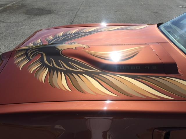 1980 Pontiac Firebird Trans Am (CC-1053243) for sale in Downingtown , Pennsylvania