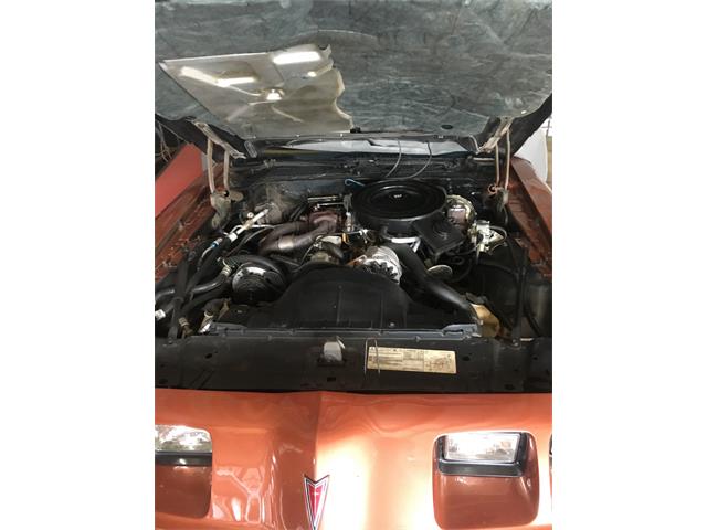 1980 Pontiac Firebird Trans Am (CC-1053243) for sale in Downingtown , Pennsylvania