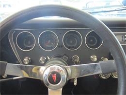 1967 Pontiac Tempest (CC-1053349) for sale in Ham Lake, Minnesota
