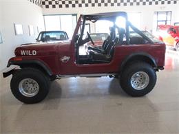 1978 Jeep Pickup (CC-1053350) for sale in Ham Lake, Minnesota