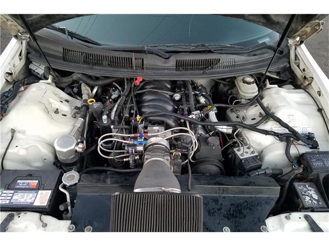 1999 Chevrolet Camaro (CC-1053911) for sale in Scottsdale, Arizona