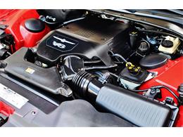 2005 Ford Thunderbird (CC-1054291) for sale in Lakeland, Florida