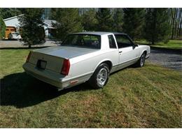 1987 Chevrolet Monte Carlo SS (CC-1050484) for sale in Monroe, New Jersey