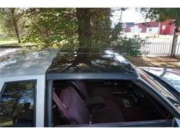 1987 Chevrolet Monte Carlo SS (CC-1050484) for sale in Monroe, New Jersey