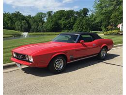 1973 Ford Mustang (CC-1050517) for sale in Port Charlotte, Florida