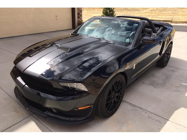 2014 Shelby GT350 (CC-1055210) for sale in Scottsdale, Arizona