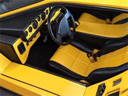 1981 Lamborghini Countach (CC-1050557) for sale in Denver, Colorado