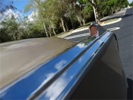 1965 Chrysler Newport (CC-1056172) for sale in Coral Springs, Florida