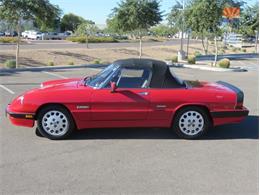 1989 Alfa Romeo Spider Quadrifolgio (CC-1056269) for sale in Scottsdale, Arizona