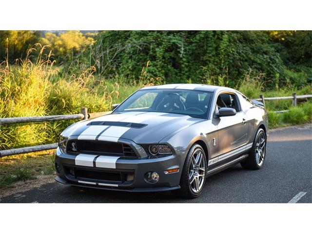 2013 Shelby GT500 (CC-1057296) for sale in Scottsdale, Arizona