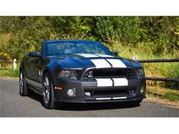 2014 Shelby GT500 (CC-1057297) for sale in Scottsdale, Arizona