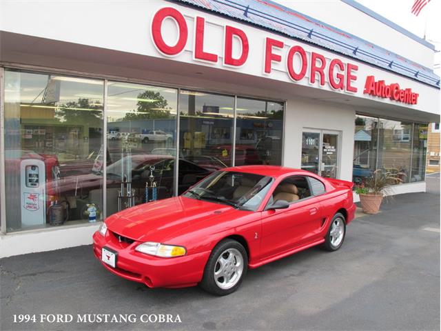 1994 Ford Mustang SVT Cobra (CC-1058342) for sale in Lansdale, Pennsylvania