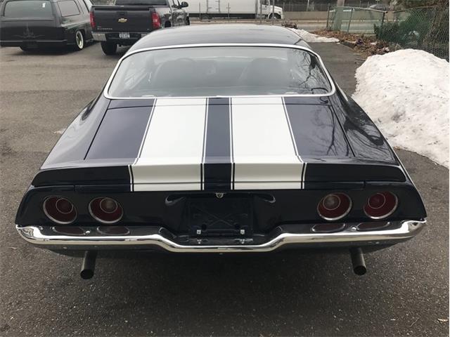 1971 Chevrolet Camaro SS (CC-1058347) for sale in West Babylon, New York