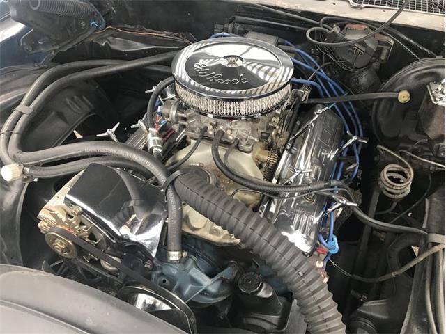 1971 Chevrolet Camaro SS (CC-1058347) for sale in West Babylon, New York