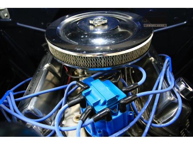 1951 Ford F100 (CC-1058388) for sale in Denver , Colorado