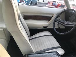 1971 Ford Mustang Mach 1 (CC-1058563) for sale in West Babylon, New York