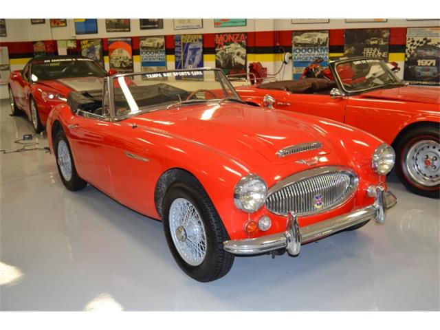 1967 Austin-Healey 3000 (CC-1059096) for sale in Pinellas Park, Florida