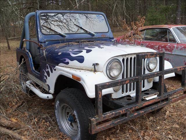 1980 Jeep Wrangler (CC-1059270) for sale in Saint Croix Falls, Wisconsin