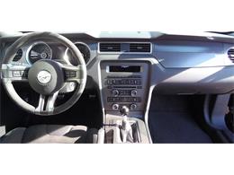 2013 Ford Mustang (CC-1059407) for sale in Redlands, California
